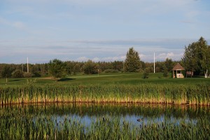 DSC_0025 